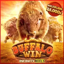 buffalo by ktv 789