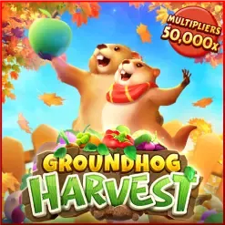 harvest by ktv 789